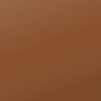 Cognac leather swatch